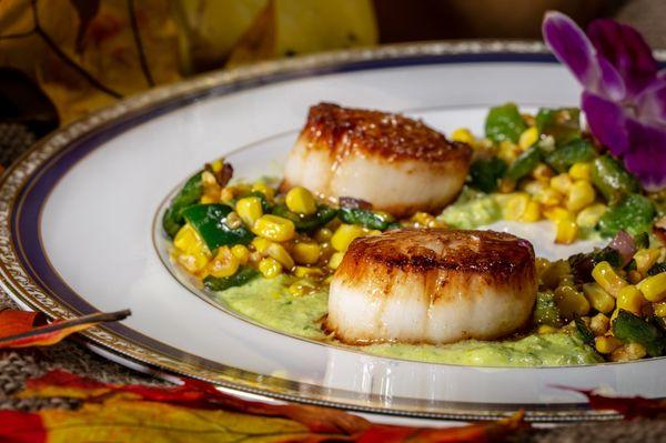 Seared Scallops