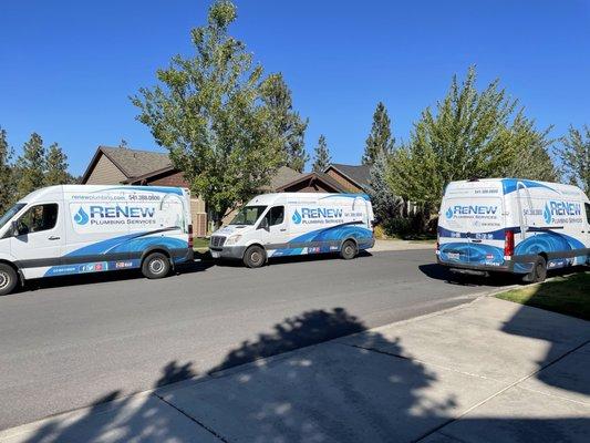 Our Sprinter fleet.