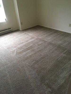 (AFTER) Carpet re dyed to match