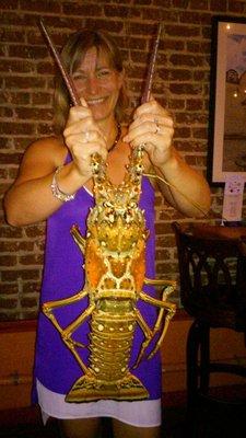 Florida Lobster catch of the Day