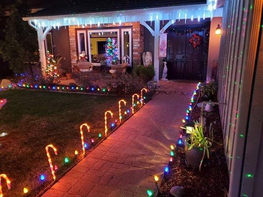 Holiday lights