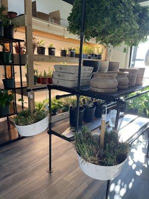 Onion sets, hanging plants, pots