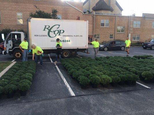 Awesome city of Geneva beautification team!