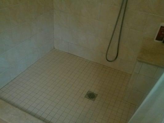 After Shower and Grout Cleaning