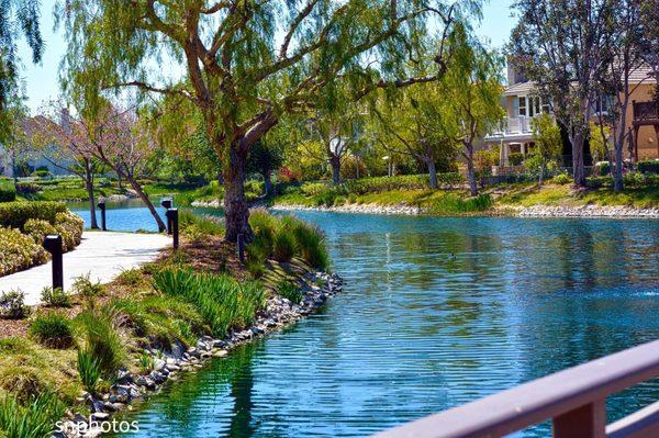 Bridgeport lake is beautiful during the tax season...