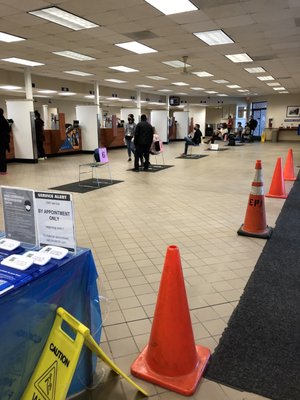 Department of Motor Vehicles