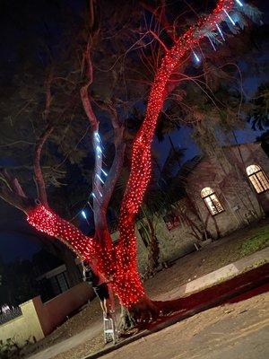 Putting the final touches on the festive red tree