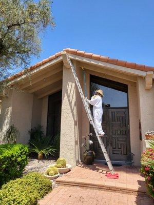 Beehive removal