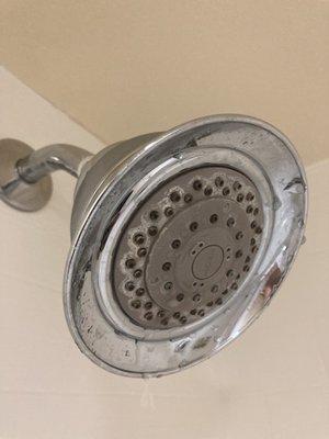 Dirty shower head