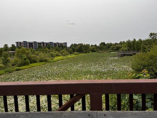 View from bridge