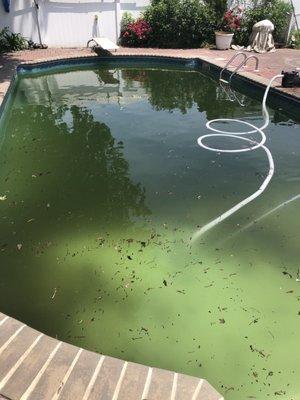 Here's what my pool looked like after 400 dollars of work to open it. Thanks pool guys!