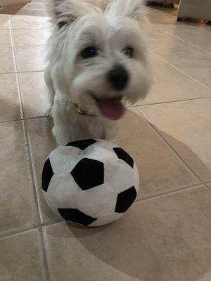 Rosie w her new ball!