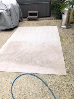 Rug Cleaning