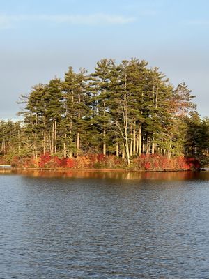 Fall on Bow Lake