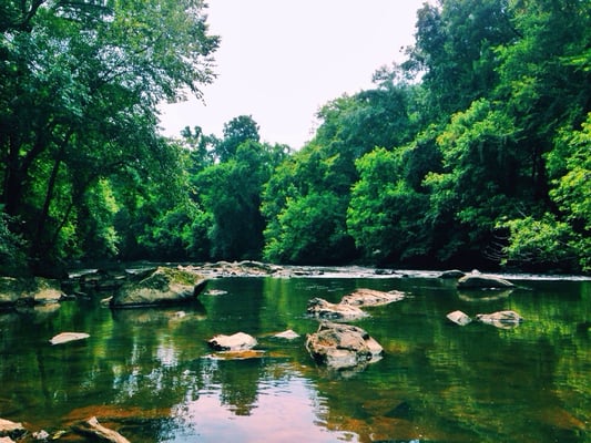 The Haw River looking fine.