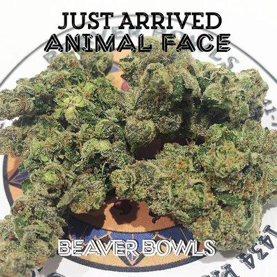 Animal Face from Sugarbud Farm is in the dispensary, This delicious top-shelf flower has an old school taste and tests at 32.7% THC! Stop by