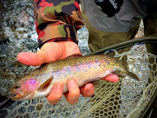 Sweet rainbow on the beaver river