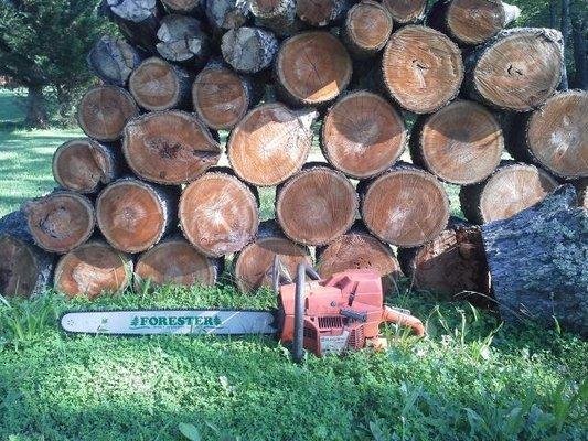 Satisfaction Tree Service sells firewood when available