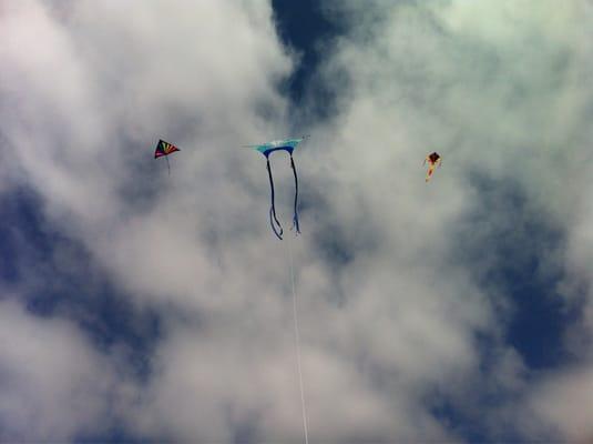 beginners' kites from Kite Country - so much fun and good quality, too!