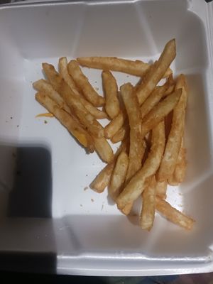 Fries and invisible coleslaw