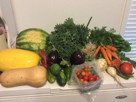 Large box picked up at farmers market for $30. Photo doesn't include salad mix.