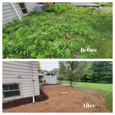 Area completely dug up, and new soil, seed, and peat moss added