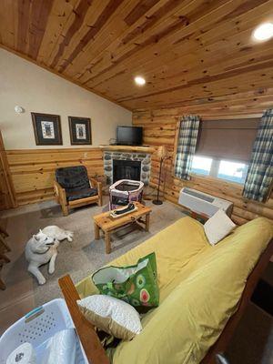 Cabin living room