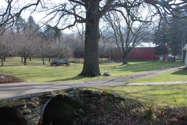 Butternut Creek Kennels