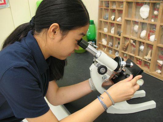 Middle school science lab.