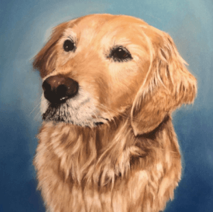 Pet portraits by Joe Brewer