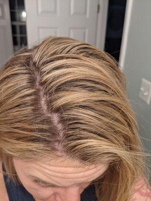 Two days after a full foil and you can clearly see that she didn't put the foil to the root. Clear lines all over. Not worth $248!!!