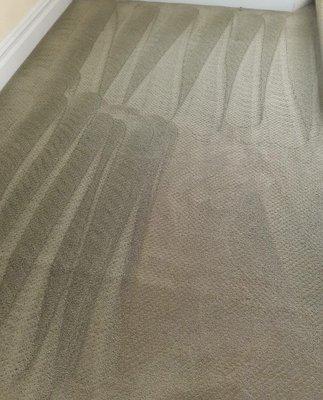 Carpet cleaning