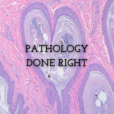 Specialty Vetpath