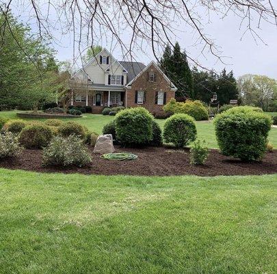 Grass cutting and mulch.