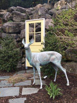 Deer and a door