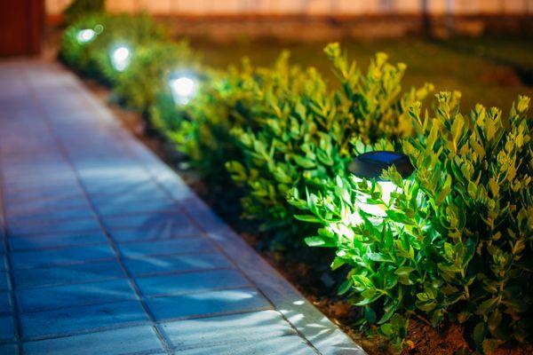 Landscape Lighting