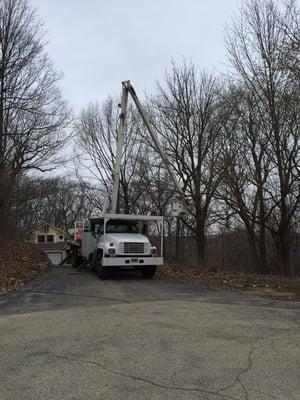 Removing disease tree