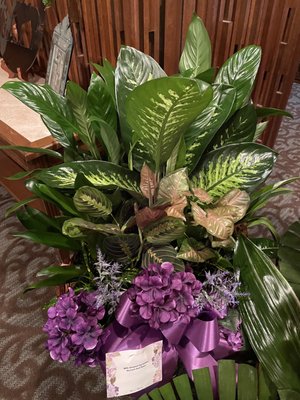 Multi-plant arrangement with accent flowers.