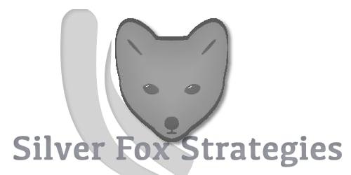 Silver Fox Strategies