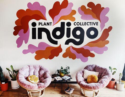 Indigo Plant Collective