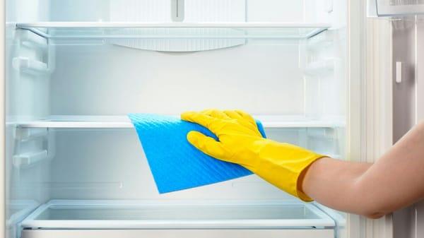 Deep clean your Refrigerator!