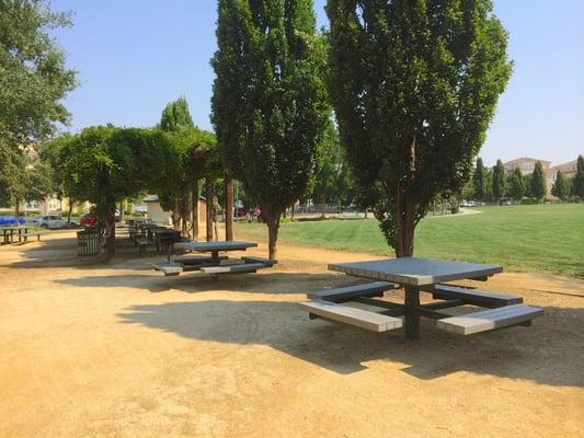 Picnic Area