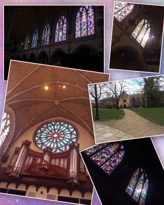 Collection of images at the University Cathedral- beautiful stained glass