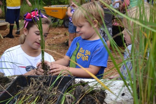 Every year the entire school participates in Bay Grasses in Classes to grow and transplant salt marsh for the Tampa Bay area.