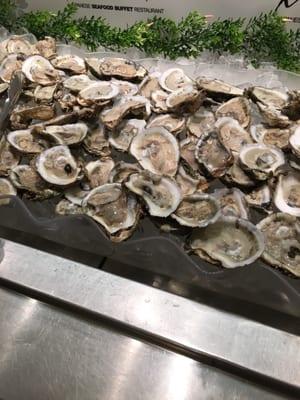 Raw oyster bar, try at your own risk