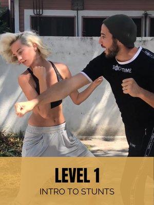 Level 1 - Intro to Stunts