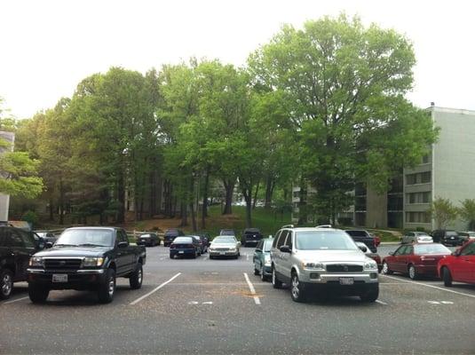 Parking Lot and Common Area