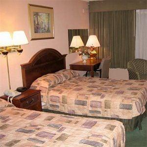 Our Spacious Rooms