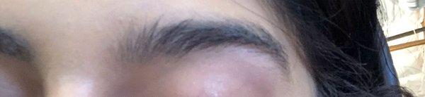 Full eyebrows prior to wax