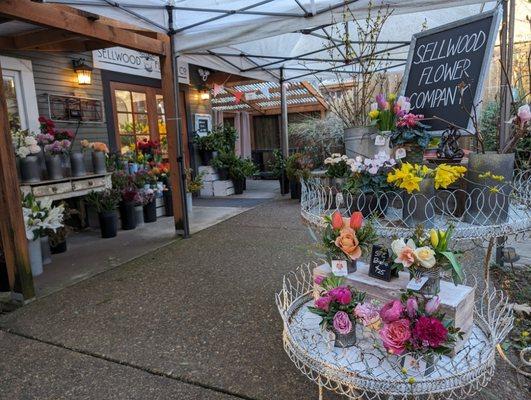 I had the pleasure of helping Sellwood Flower Co. this morning. What a beautiful shop!